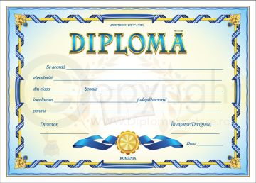 Diploma D1 2024 (Joy)