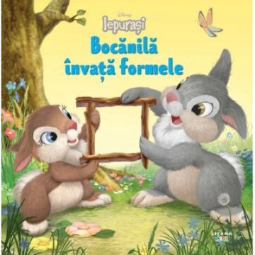 Disney Iepurasi. Bocanila invata formele (Litera)