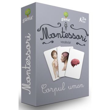 Corpul uman. Carti de joc Montessori (Gama)