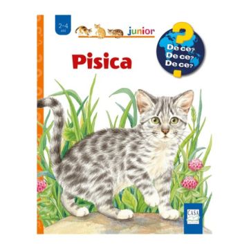 Pisica (Casa)
