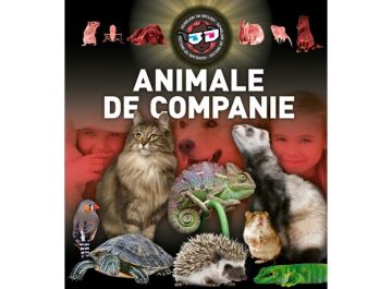 Animale de companie 3D (Kreativ)