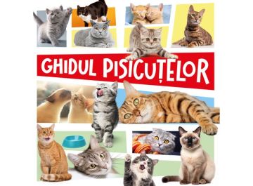 Ghidul pisicutelor (Kreativ)