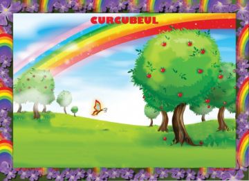 Set 4 planse. Fenomene ale naturii (Ars Libri)