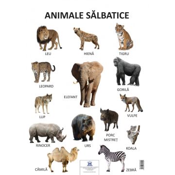 Plansa Animale salbatice (Didactica Publishing House)