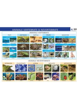 Animale vertebrate si nevertebrate - Plansa 