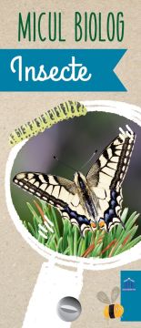 Micul biolog - Insecte