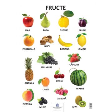 Plansa Fructe (Didactica Publishing House)
