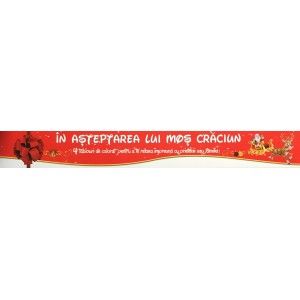 IN ASTEPTAREA LUI MOS CRACIUN - pentru copii