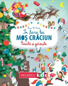 În țara lui Moș Crăciun (Seria Caută și găsește) (Niculescu)