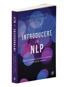 Introducere în NLP. Ediția a II - a (Curtea veche)