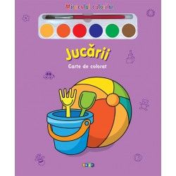 Miracolul culorilor. Jucarii (Prut)