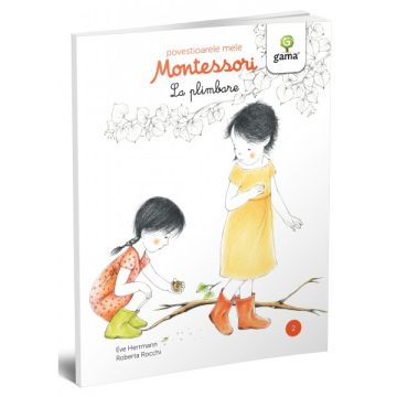 La plimbare- POVESTIOARELE MELE MONTESSORI (GAMA)