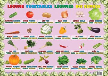 Plansa Legume (Ars Libri)