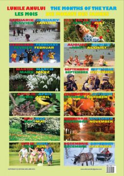 Plansa Lunile Anului (Ars Libri)