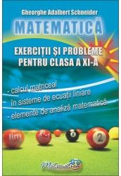 Matematica - exercitii si probleme pentru clasa a XI - a (Hyperion)