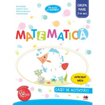 Matematica. Caiet de activitati. Grupa mare 5-6 ani (Litera)