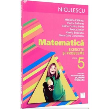 Matematica. Exercitii si probleme pentru clasa a V-a (Rozica Stefan)
