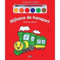 Miracolul culorilor. Mijloace de transport (Prut)