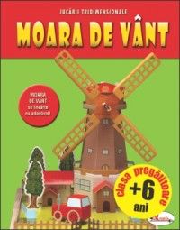 Activitati practice- Moara de vant (Aramis)