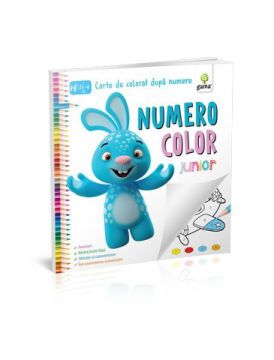 NumeroColor Junior