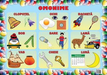 Set 3 planse. Omonime (Ars Libri)