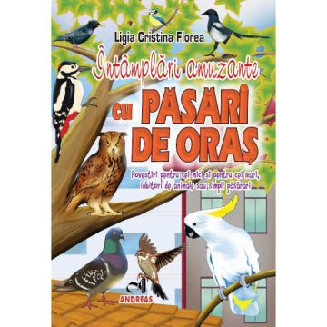 Intamplari amuzante cu pasari de oras (Andreas)