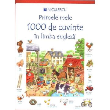 Primele mele 1000 de cuvinte in limba engleza