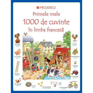 Primele mele 1000 de cuvinte in limba franceza
