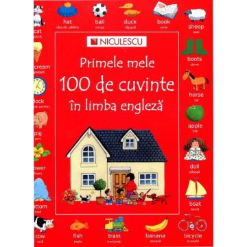 Primele mele 100 de cuvinte in limba engleza
