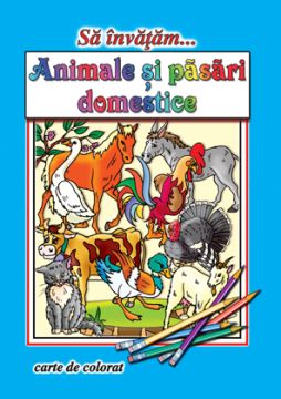 Sa Invatam... Animale Si Pasari Domestice (Cartex)